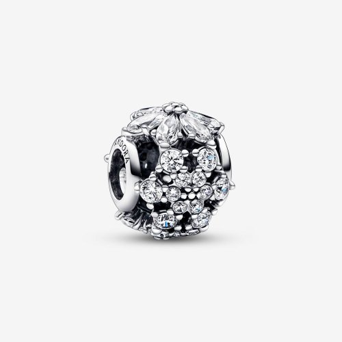 Charm redondo con racimo de herbario brillante de Pandora - 792383C01