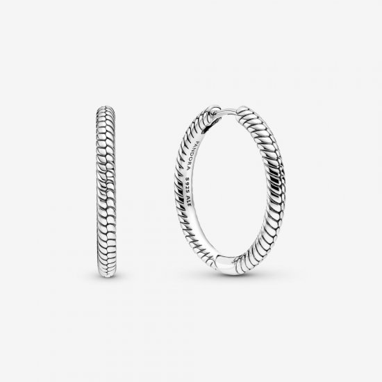 Aretes de Argollas con Charm Pandora Moments - 299532C00 - Haga click en la imagen para cerrar