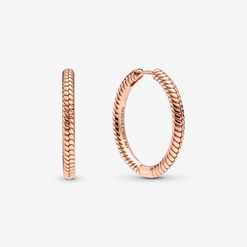 Aros con dije de aro Pandora Moments - 289532C00