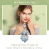 Dije de búho perpetuo de plata estilo Pandora - SCC1124