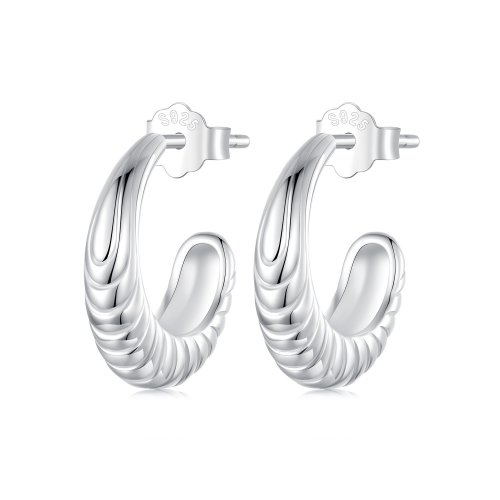 Pendientes con textura de temperamento estilo PANDORA - BSE1058