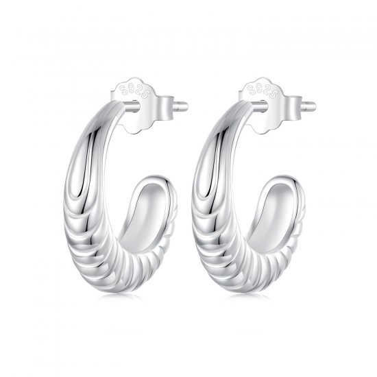 Pendientes con textura de temperamento estilo PANDORA - BSE1058 - Haga click en la imagen para cerrar