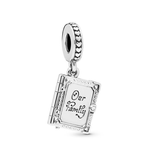 Charm Colgante PANDORA en plata de ley Libro de Familia - 798105