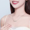 Collar de plata estilo Pandora con lindo colgante de pata - SCN346