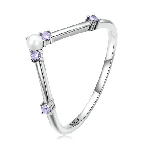 Anillo de estilo Pandora en forma de hueso de deseo de princesa - SCR835