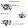 Charm de copo de nieve brillante plateado al estilo Pandora - SCC719