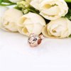 Charm en Pandora Rose Princesa Leona Brillante - 788024CZM