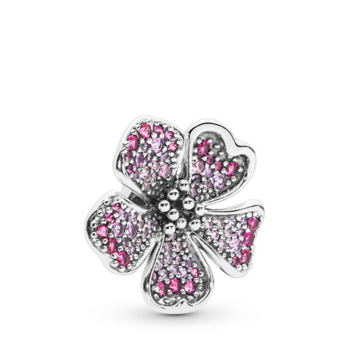 Charm PANDORA Flor de flor de durazno grande 798073NCCMX