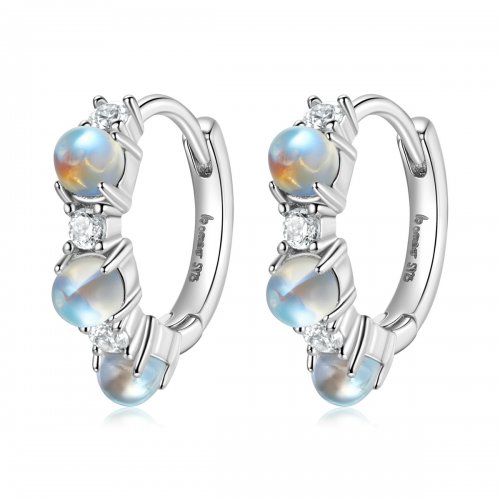Pendientes estilo Pandora de aro simple - BSE532