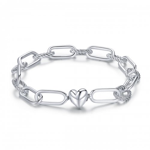 Pulsera de estilo Pandora de plata Love of Link - SCB202