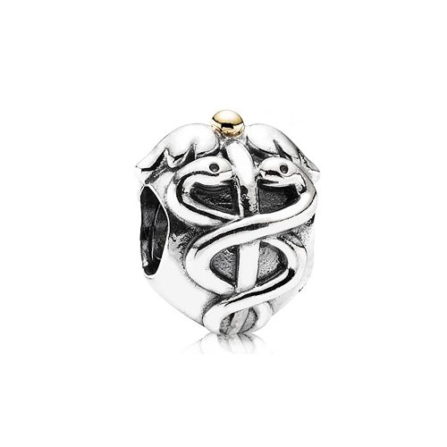 Pandora Charms de Encanto Médico - 791042