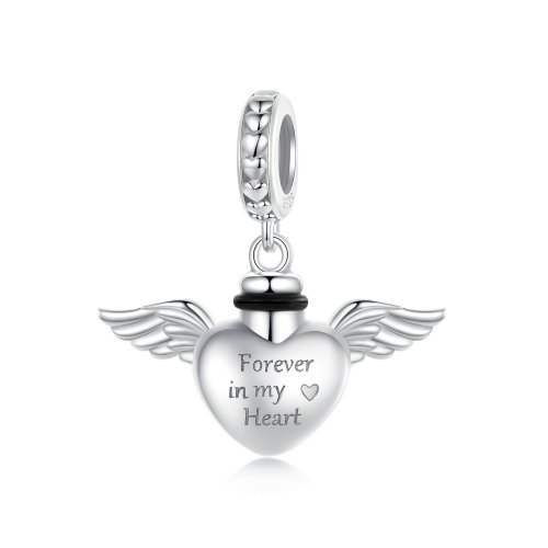 Colgante con urna para mascotas estilo PANDORA - BSC1036