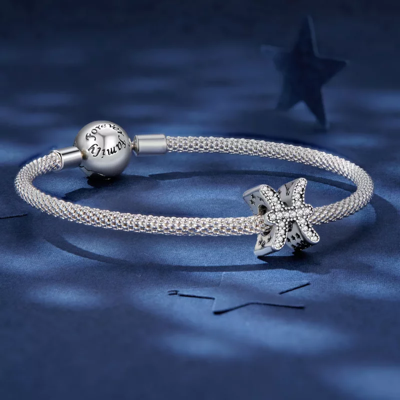(imagen para) Amuleto de la suerte estilo Pandora del signo zodiacal Piscis - SCC2516-11 - Ver 5