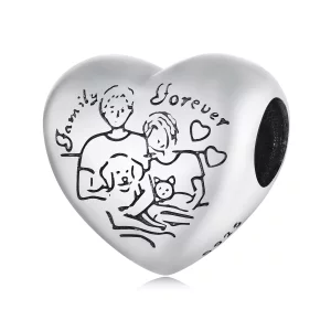 (imagen para) Charm de estilo Pandora de la felicidad - SCC2513