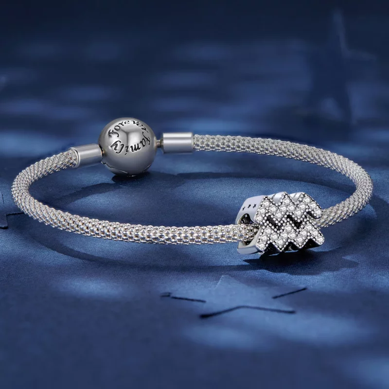 (imagen para) Charm del Zodiaco Acuario de la suerte estilo Pandora - SCC2516-12 - Ver 5