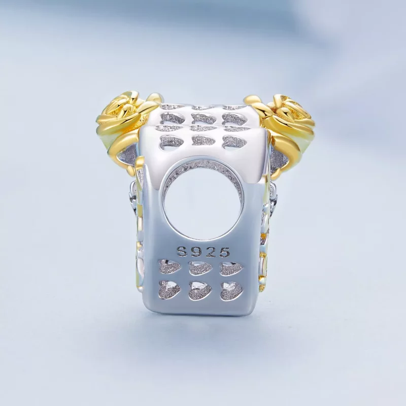 (imagen para) Encanto estilo Pandora para hermanas - BSC841 - Ver 3