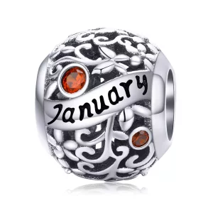 (imagen para) Charm de piedra de nacimiento de enero en estilo Pandora de plata - SCC1385-1