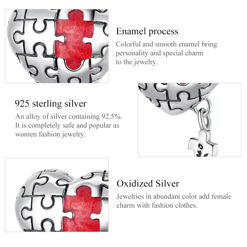 (imagen para) Charm de plata estilo Pandora con autismo - SCC1635 - Ver 5