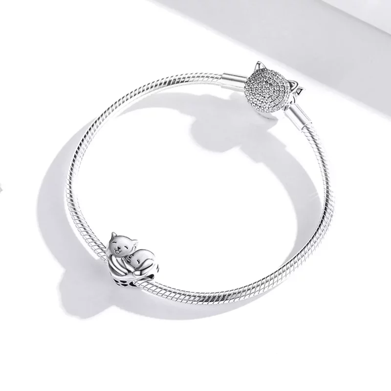 (imagen para) Charm de plata estilo Pandora con diseño de hermano - SCC1856 - Ver 3