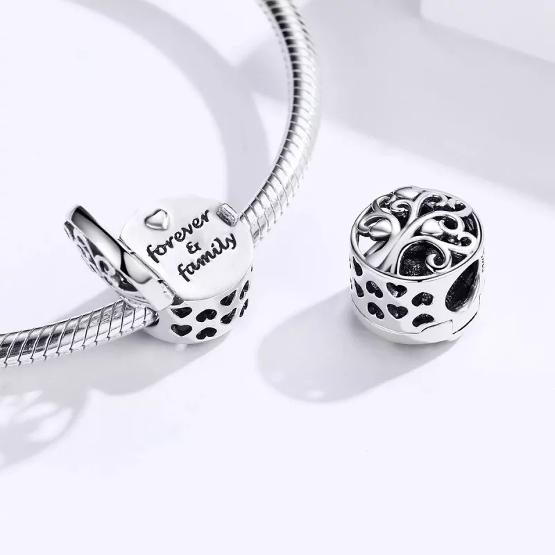 (imagen para) Charm de Plata Estilo Pandora "Forever & Family" - SCC1259 - Ver 4
