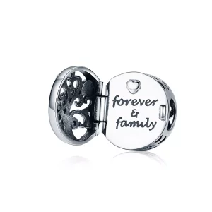 (imagen para) Charm de Plata Estilo Pandora "Forever & Family" - SCC1259