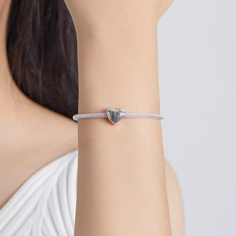 (imagen para) Charm estilo Pandora de amor en forma de rompecabezas - SCC1976 - Ver 5