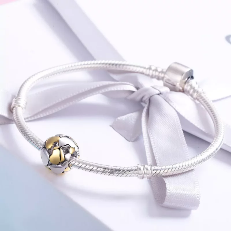 (imagen para) Charm Pandora Style bicolor de dos tonos "Mi corazón está brillante" - SCC537 - Ver 4