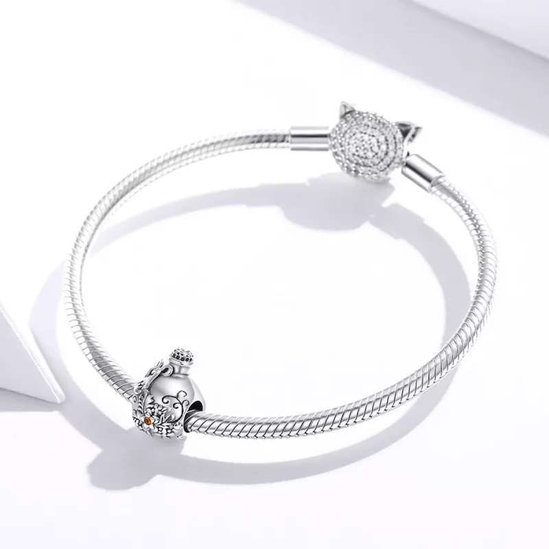 (imagen para) Encanto de botella de deseos de estilo Pandora - SCC1602 - Ver 3