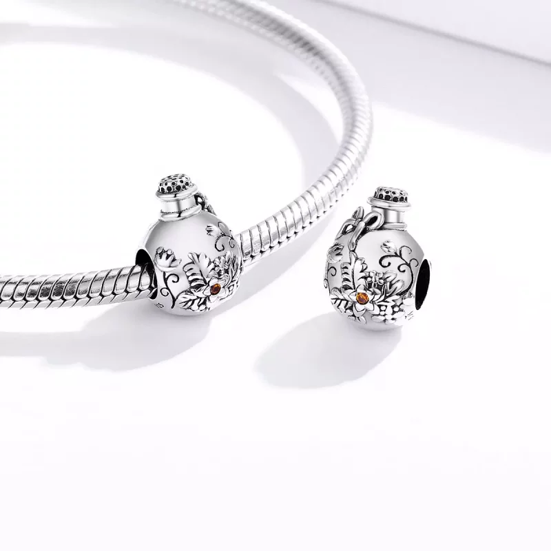 (imagen para) Encanto de botella de deseos de estilo Pandora - SCC1602 - Ver 4
