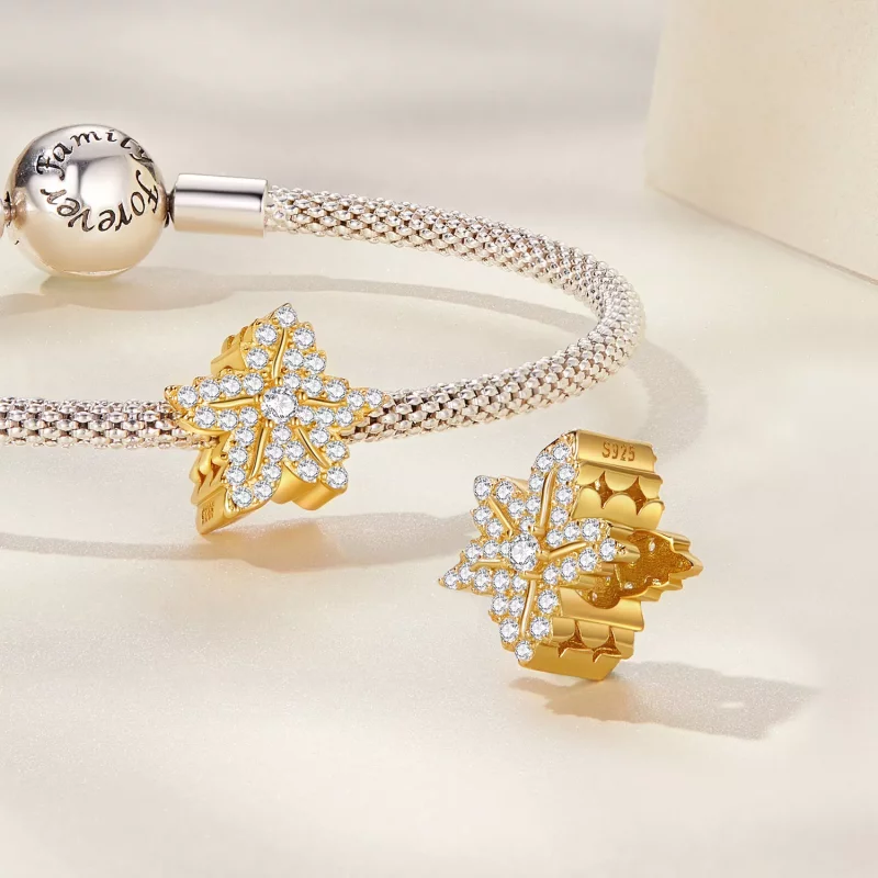 (imagen para) Pulsera estilo Pandora con encanto de hoja de arce - BSC673 - Ver 4