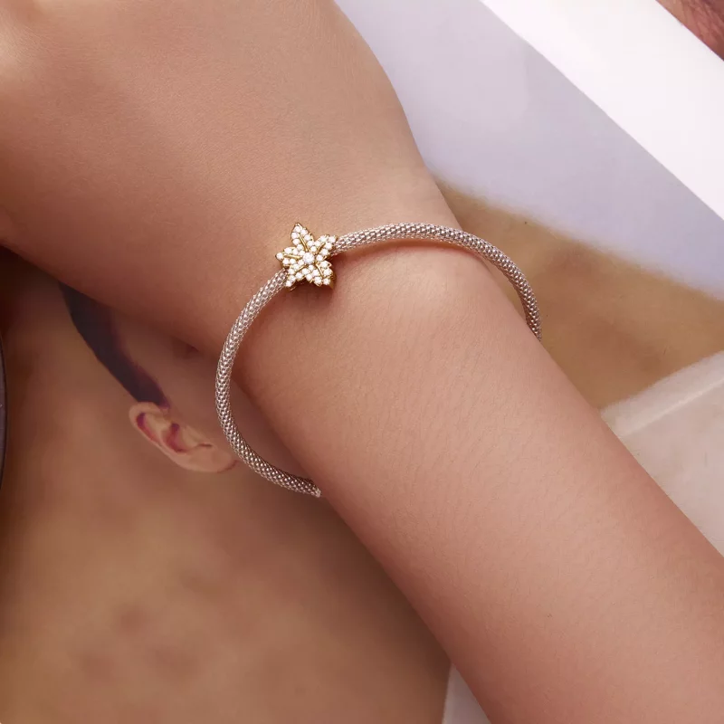 (imagen para) Pulsera estilo Pandora con encanto de hoja de arce - BSC673 - Ver 6