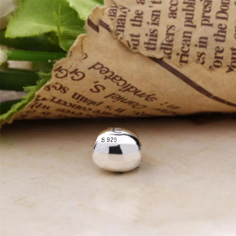 (imagen para) Charm en plata de ley Bolsas de dinero PANDORA - Ver 4