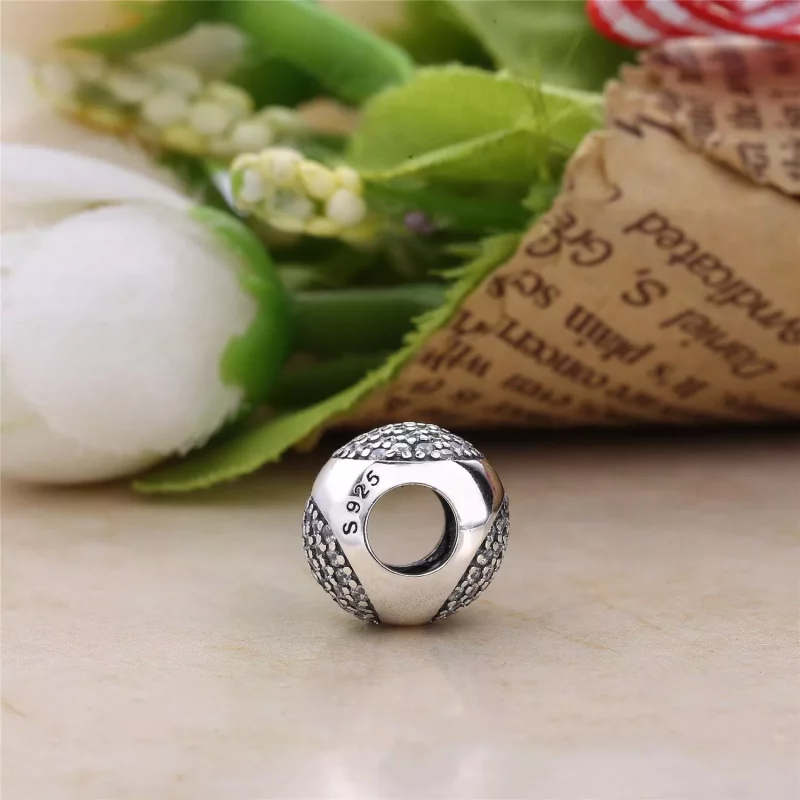(imagen para) Charm en plata de ley Gota Deslumbrante - PANDORA - Ver 3