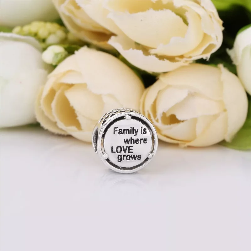 (imagen para) Charm en plata de ley Ra&iacute;ces Familiares - PANDORA - Ver 3