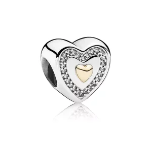(imagen para) Siempre en mi coraz&oacute;n - PANDORA