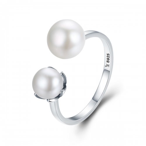 Anillo de plata de estilo Pandora Infatuate of Love - SCR192