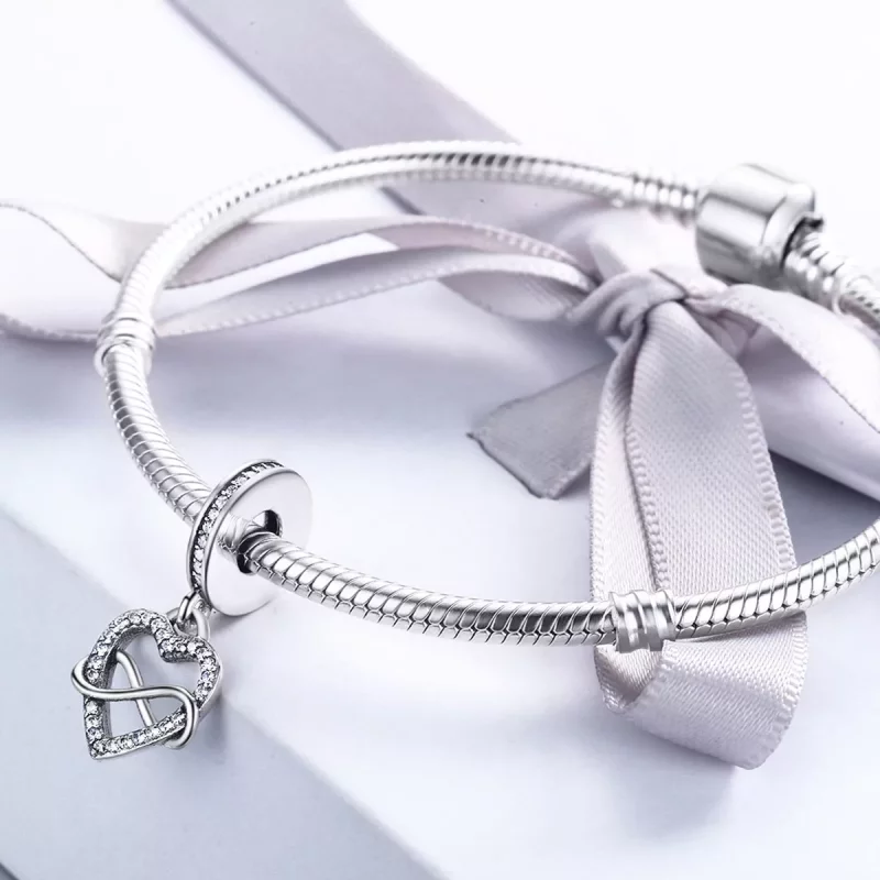 (imagen para) Colgante estilo Pandora Love Knows No Bounds - SCC261 - Ver 5
