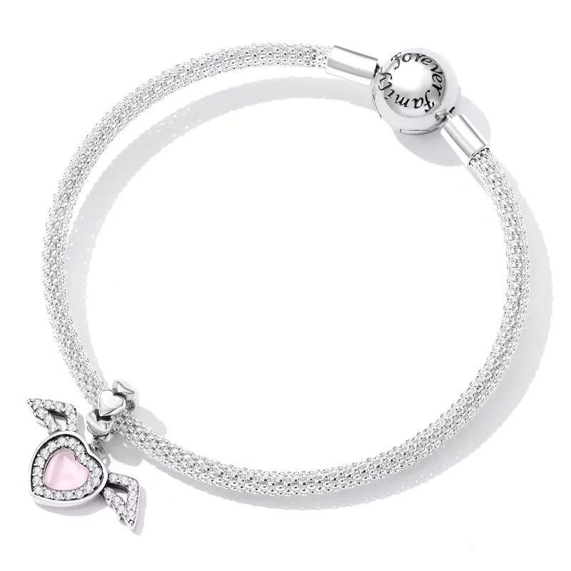 (imagen para) Pandora estilo alas de amor colgante - SCC2229 - Ver 5