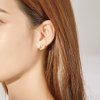 Aretes estilo Pandora con diseño de perro arcoíris - SCE825