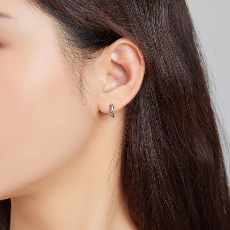 (imagen para) Aretes de argolla de serpiente de dibujos animados plateados al estilo de Pandor - Ver 5