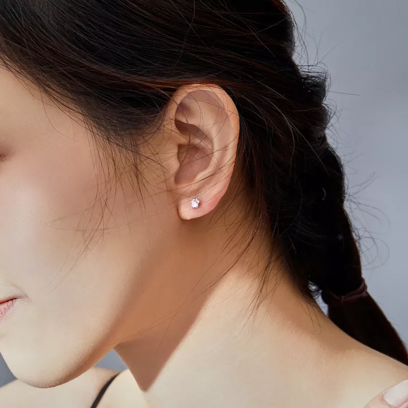 (imagen para) Estos pendientes de garritas encantadoras de plata al estilo de Pandora - SCE781 - Ver 5