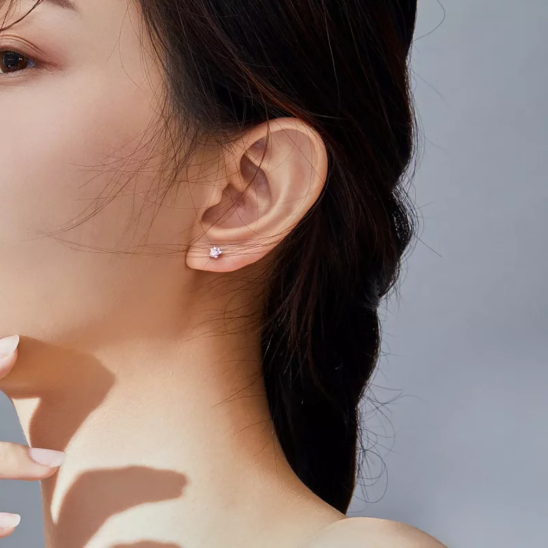 (imagen para) Estos pendientes de garritas encantadoras de plata al estilo de Pandora - SCE781 - Ver 7