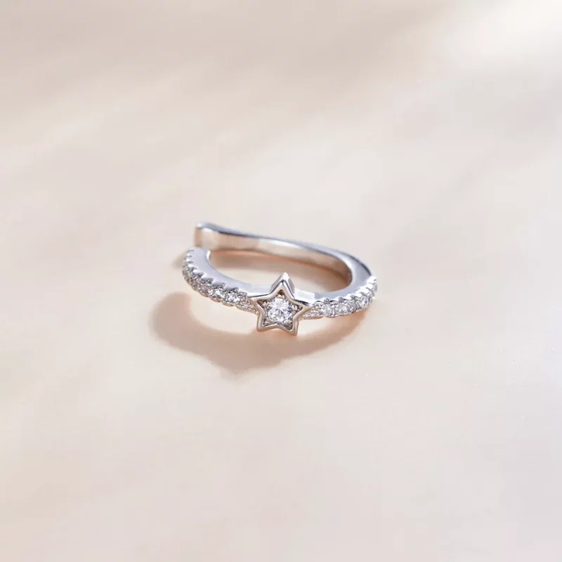 (imagen para) Pendiente de Oreja Plata Estilo Pandora - SCE1024 - Ver 2