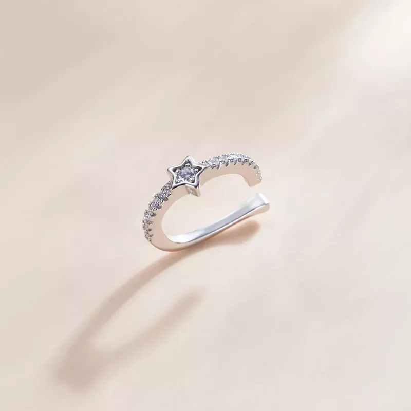(imagen para) Pendiente de Oreja Plata Estilo Pandora - SCE1024 - Ver 3