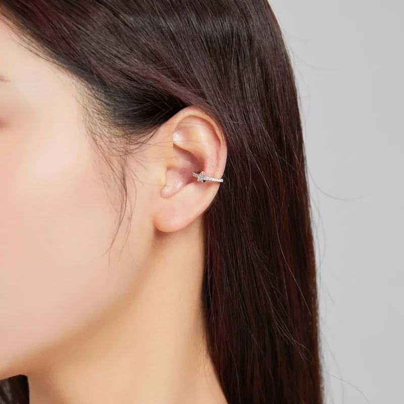 (imagen para) Pendiente de Oreja Plata Estilo Pandora - SCE1024 - Ver 5