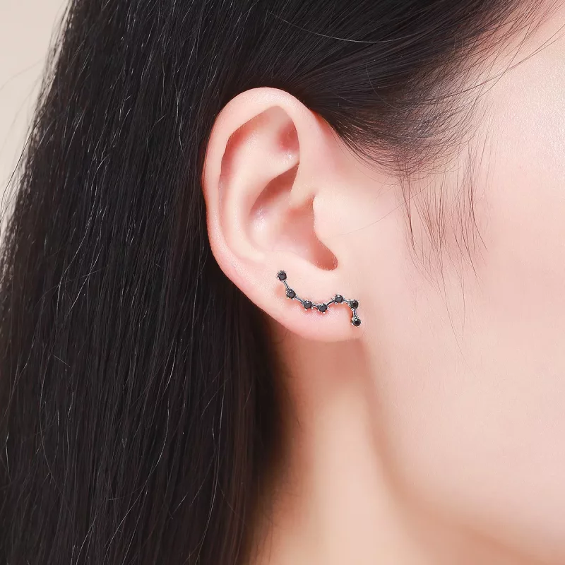 (imagen para) Pendientes de botón estilo Pandora de plata con la Osa Mayor grande - SCE166 - Ver 6