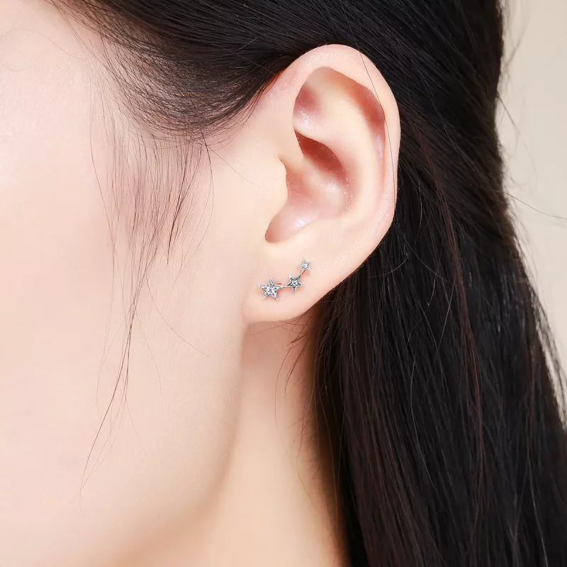 (imagen para) Pendientes de botón estilo Pandora de plata Secretos de las Estrellas - SCE175 - Ver 6