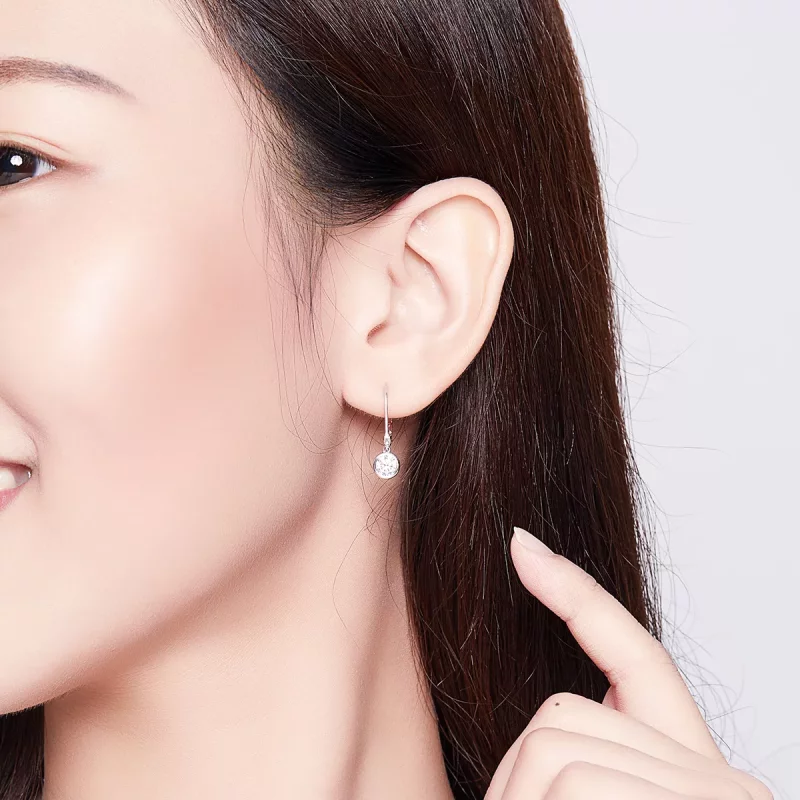 (imagen para) Pendientes de plata con brillo estilo Pandora - SCE747 - Ver 5