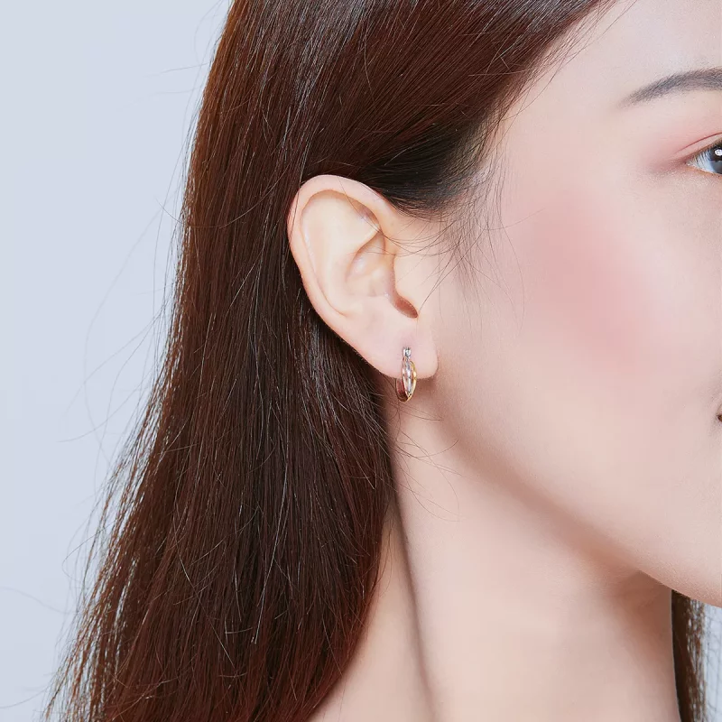 (imagen para) Pendientes de Tuerca Bicolor Estilo Pandora - SCE719 - Ver 6
