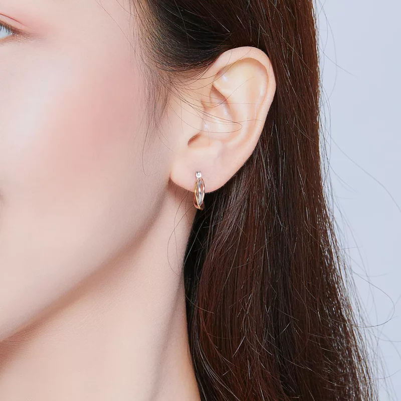 (imagen para) Pendientes de Tuerca Bicolor Estilo Pandora - SCE719 - Ver 7